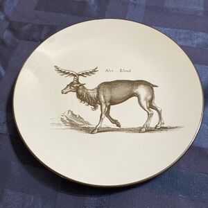 Wisteria Moose one Salad Dessert plate